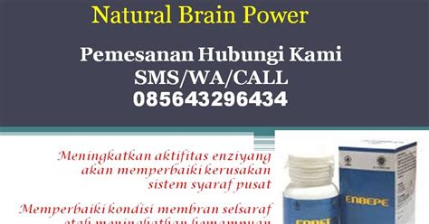Manfaat Obat Herbal Natural Brain Power