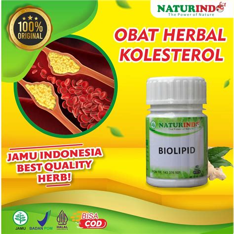 Manfaat obat herbal kolestrol
