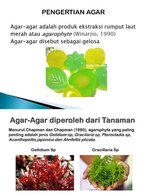 Manfaat Agar agar