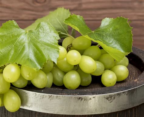 Manfaat Anggur Muscat Untuk Otak