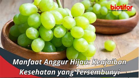 Manfaat Antioksidan Anggur