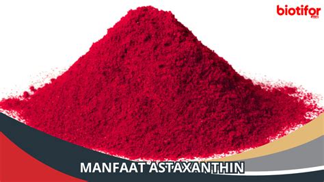 Manfaat Astaxanthin