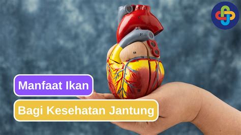 Manfaat Bagi Jantung