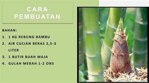 Manfaat Bambu Sebagai Bahan Pangan