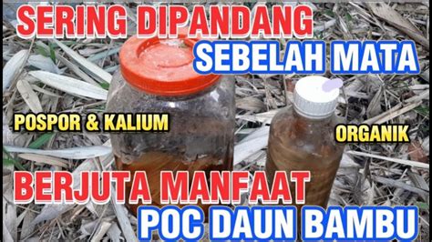 Manfaat Bambu Sebagai Pupuk
