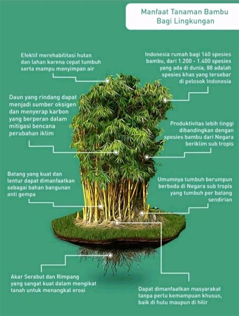Manfaat Bambu untuk Energi