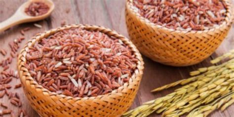 Manfaat Beras Perang