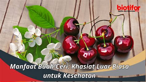 Manfaat Buah Ceri