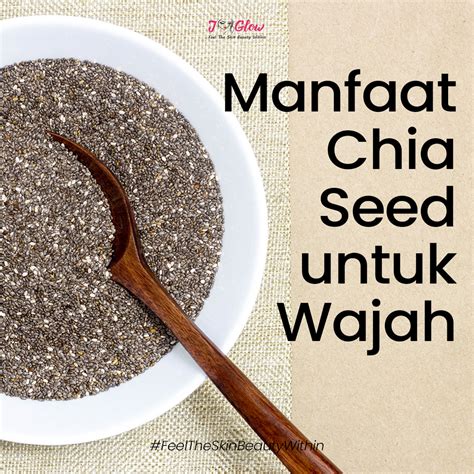 Manfaat Chia Seed Untuk Mencegah Penuaan Dini