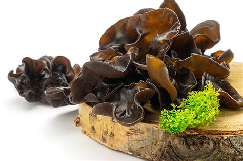 Manfaat Jamur Kuping