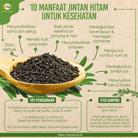 Manfaat Jinten
