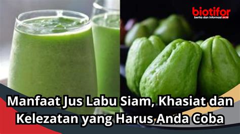 Manfaat Jus Labu Pahit