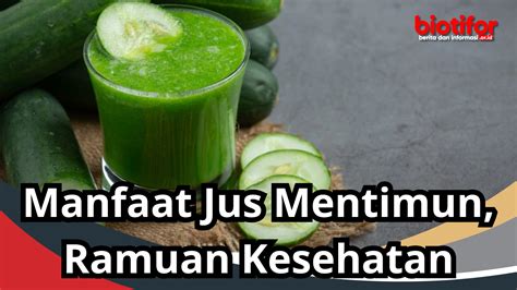 Manfaat Jus Mentimun