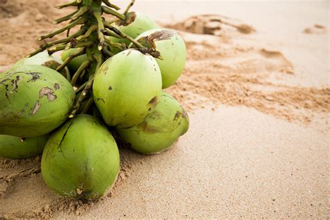 Manfaat Kelapa Hijau