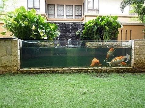 manfaat kolam ikan depan rumah