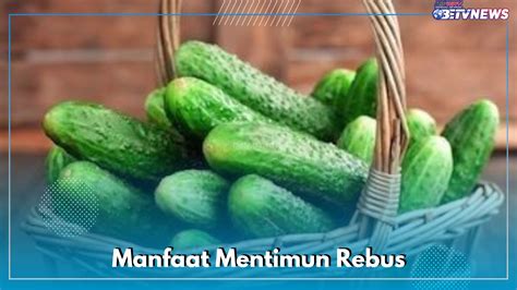 Manfaat Mentimun Rebus