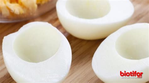 Manfaat Putih Telur Rebus