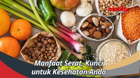 Manfaat Serat
