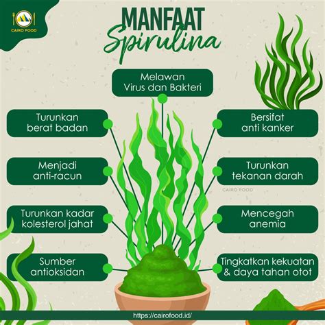 Manfaat Spirulina