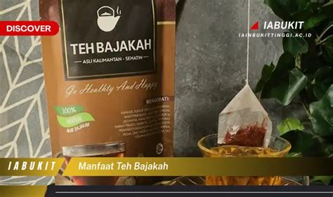 Manfaat Teh Bajakah