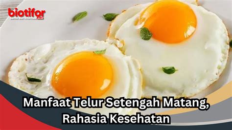 Manfaat Telur Setengah Matang