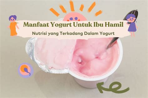 Yogurt/
