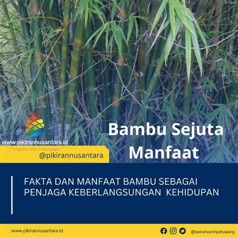 Manfaat Lain dari Bambu Petuk