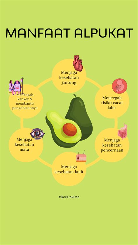 Manfaat lain alpukat