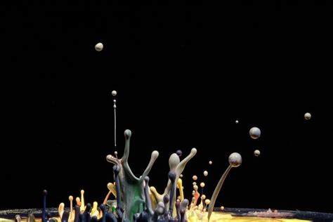 Estetika Bambu Bercabang