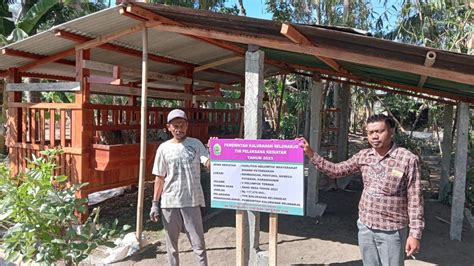 Ketahanan Bambu Bercabang