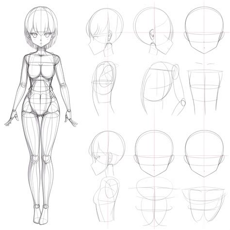 Manga Drawing beginner