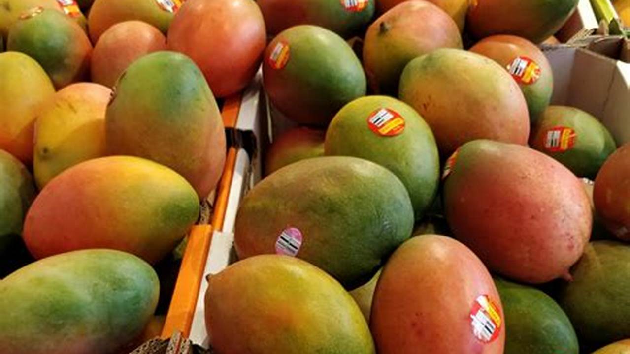 Mango Is One Of The Most., 2024