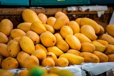 Mango Madness: Discover the Health Benefits and Delicious Flavors of this Tropical Fruit