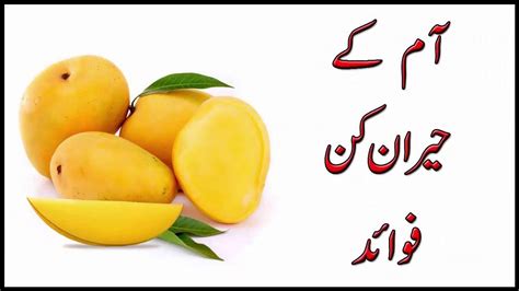 Mango in Urdu