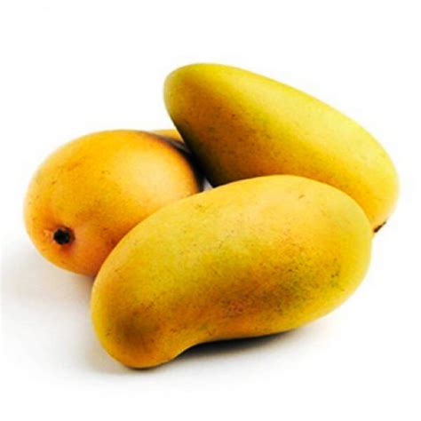 Mangoes & Pregnancy: Benefits & Essential Nutrients