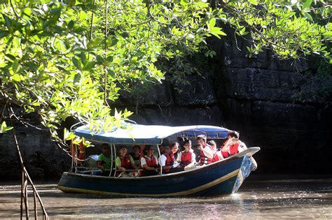 Mangrove Cruise