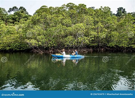 Mangrove Forest Kayak