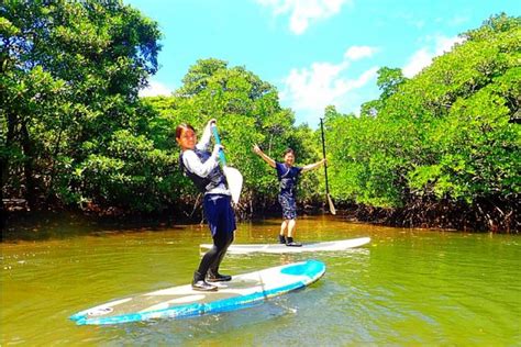 Mangrove SUP