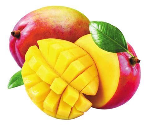 Mangue