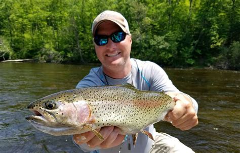 Manistee River Fishing Report