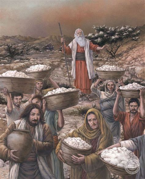 Image of Manna