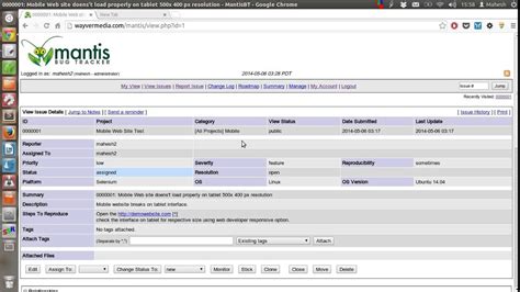 Understanding Mantis Software: The Open-Source Powerhouse