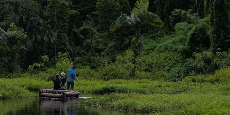 Manu Biosphere Reserve