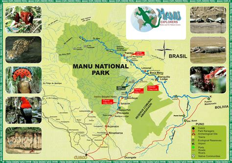 Manu National Park Essentials