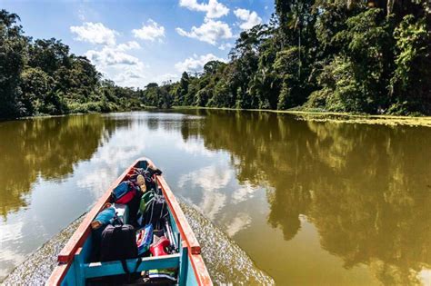Manu National Park Tour Guide