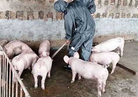 Manual Removal Methods