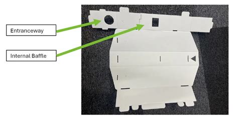Manual Removal and Immediate Traps
