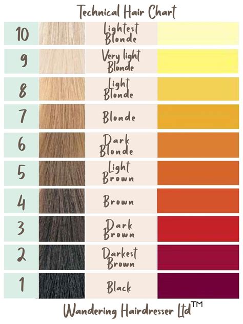 Manufacture Multi Color Hair Color Chart Hair Dye Color Chart Swatch