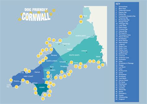 Dog Friendly Beach Locations Cornwall Dog friendly beach, Holidays in