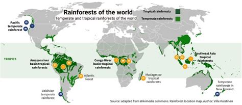 World Map Location Of Tropical Rainforest / Location Map Tropical